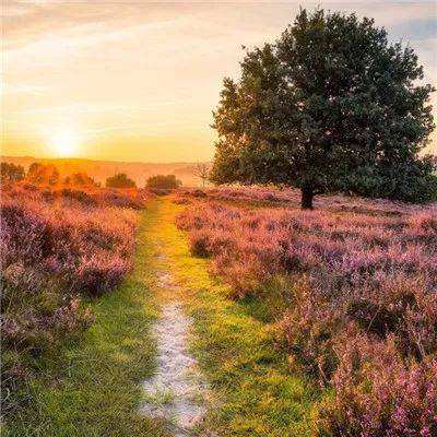 zoty中欧体育·(KOK)截图