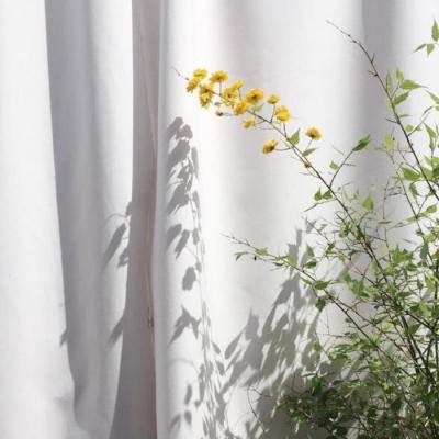 AG官方入口app截图